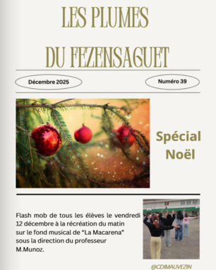 Capture d'écran 2025-12-17 104053.png